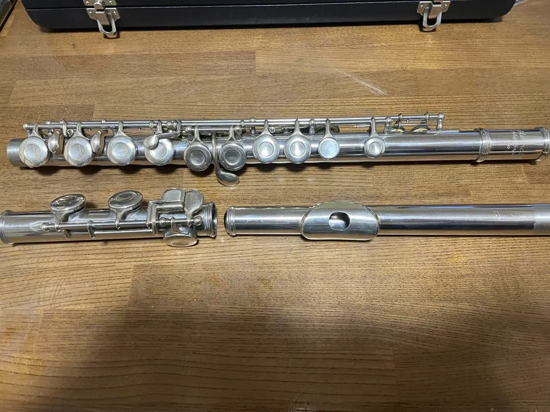 2026年最新】HERNALS フルートの人気アイテム - メルカリ