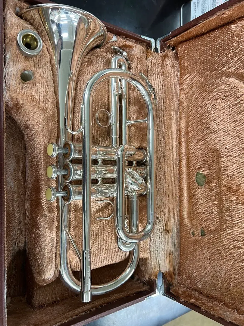 2026年最新】デニスウィック マウスピース コルネットの人気アイテム