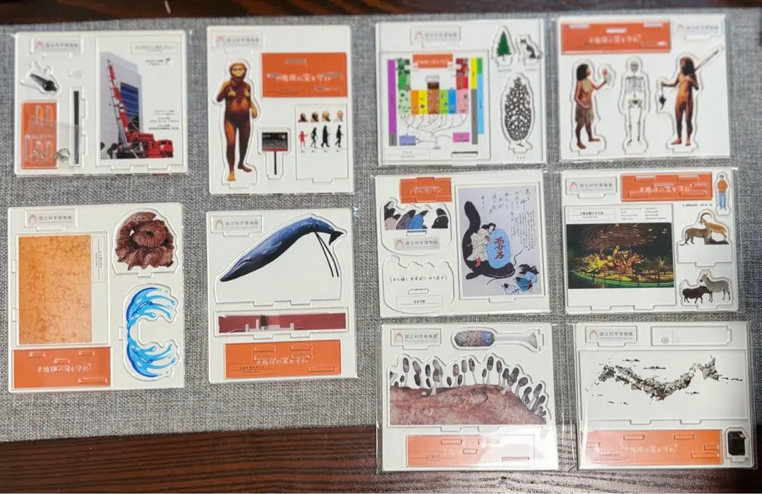 2026年最新】国立科学博物館 返礼品の人気アイテム - メルカリ