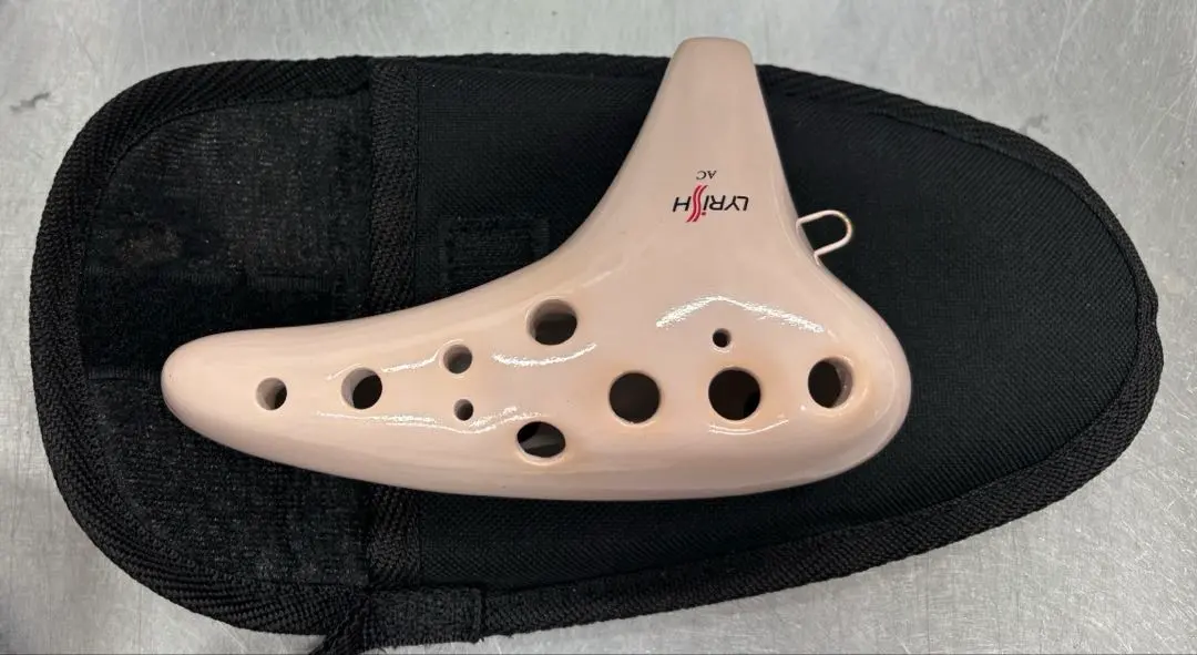 2026年最新】オカリナ ライリッシュの人気アイテム - メルカリ