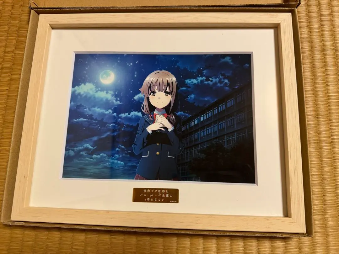 2026年最新】青春ブタ野郎 キャラファイングラフの人気アイテム - メルカリ