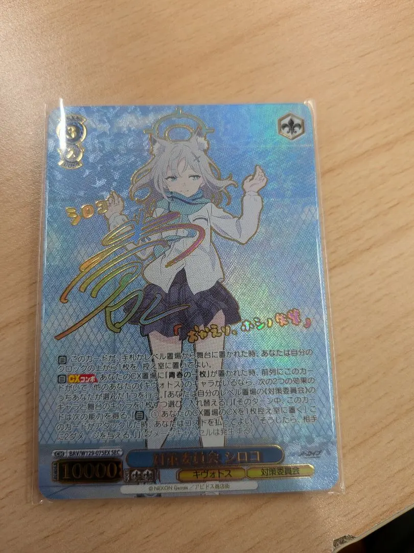 m99768033120_1.jpg?1761605661