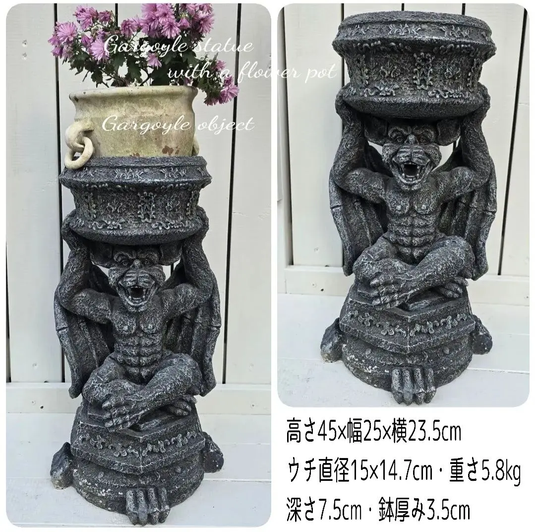 2026年最新】ワンダーデコール 鉢の人気アイテム - メルカリ