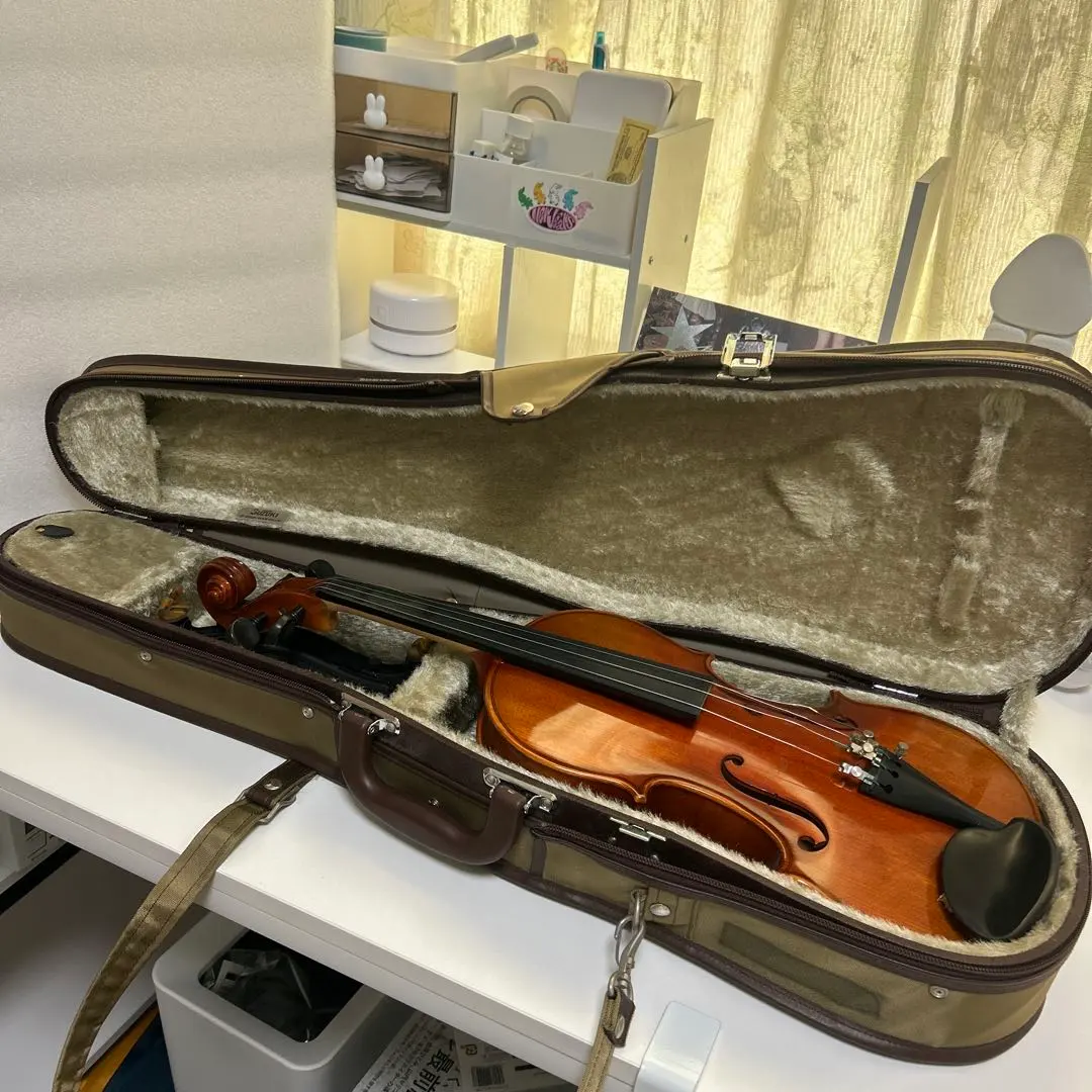 2026年最新】ビオラ スズキの人気アイテム - メルカリ