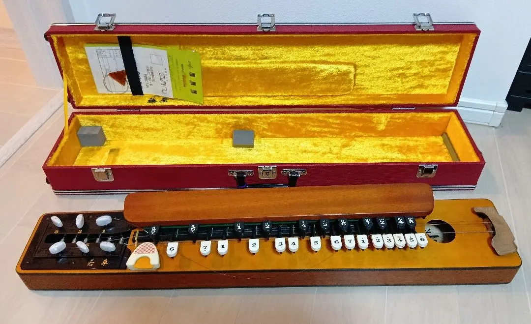 2026年最新】ライリッシュ大正琴の人気アイテム - メルカリ