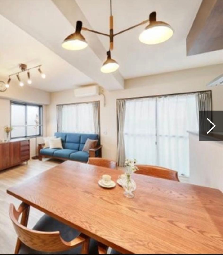 【Mainel】マイネル ペンダントライト 天井照明 ブラック