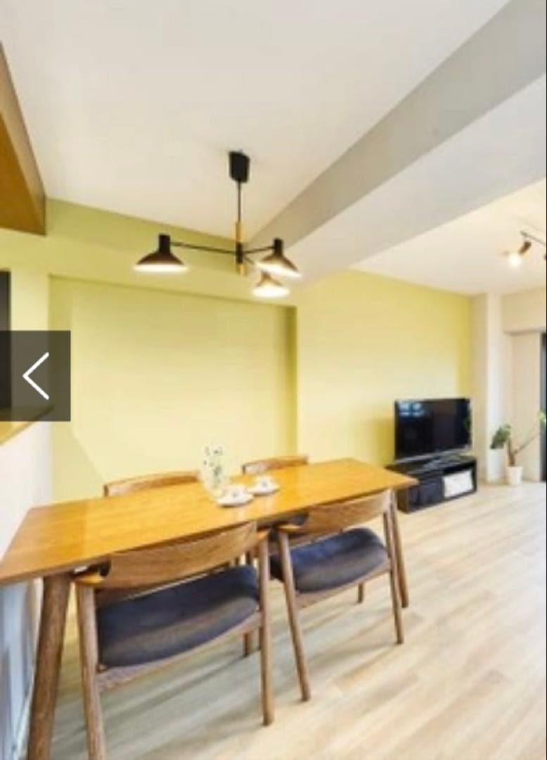 【Mainel】マイネル ペンダントライト 天井照明 ブラック