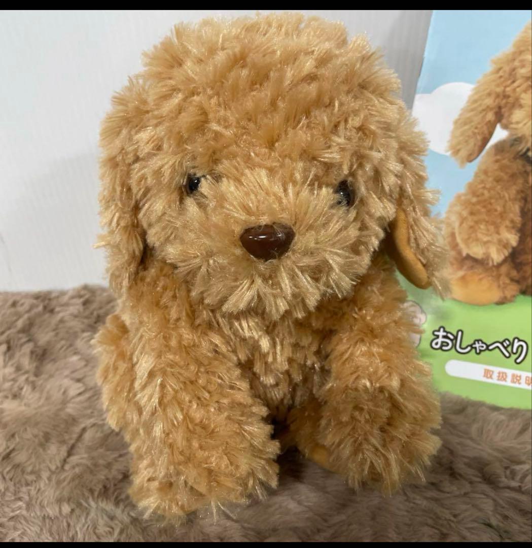 おしゃべりトイプードル しゃべる犬 音声認識ぬいぐるみ 大人向け