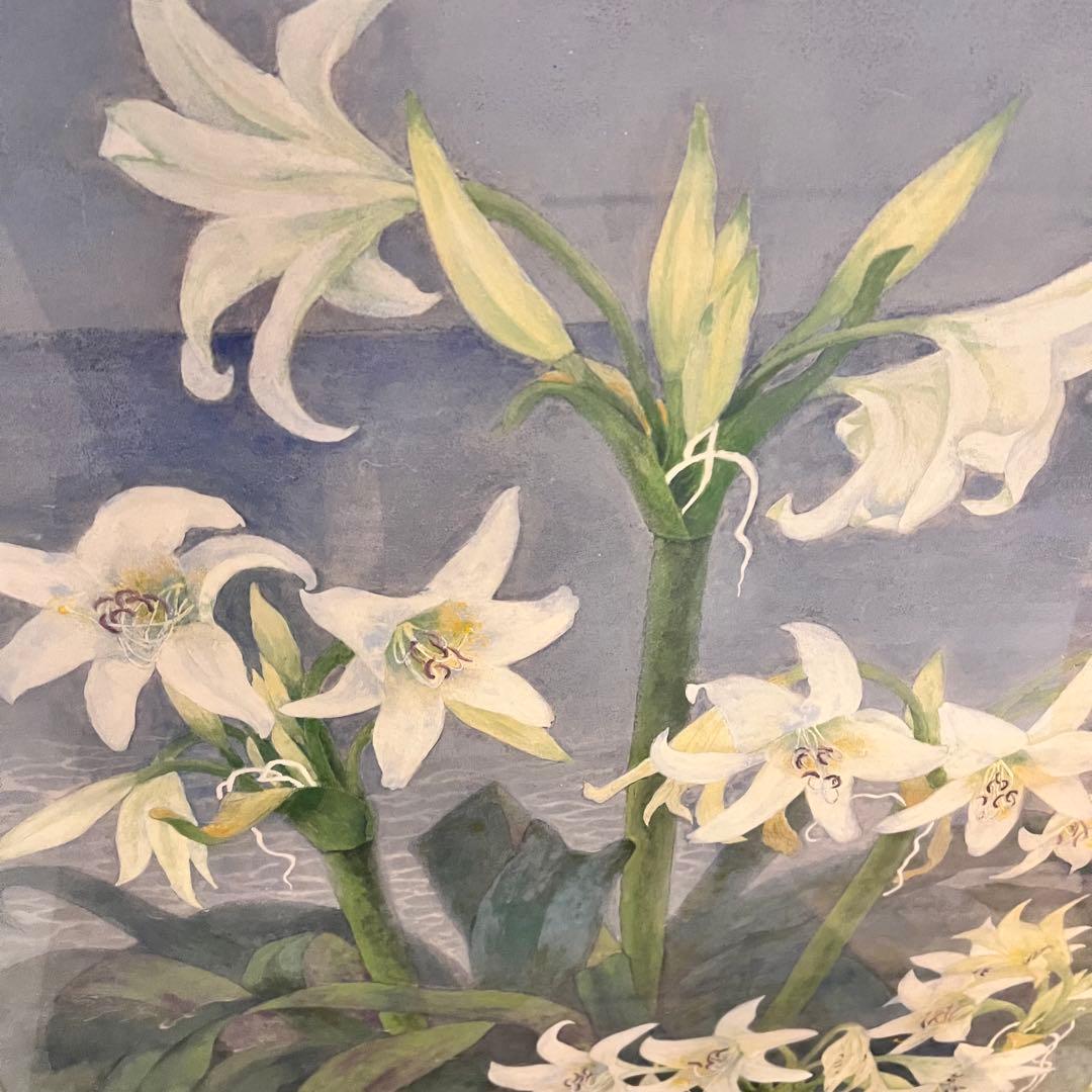 百合　ユリの花 水彩画　はまゆう　シルバーフレーム　40号　壁掛け