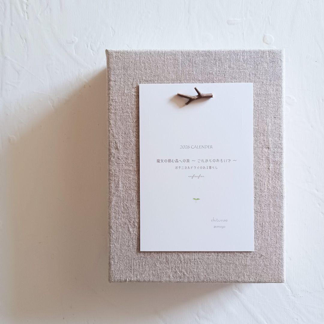 コベントガーデン 鉢植え 1セット 子持ち蓮華 多肉植物