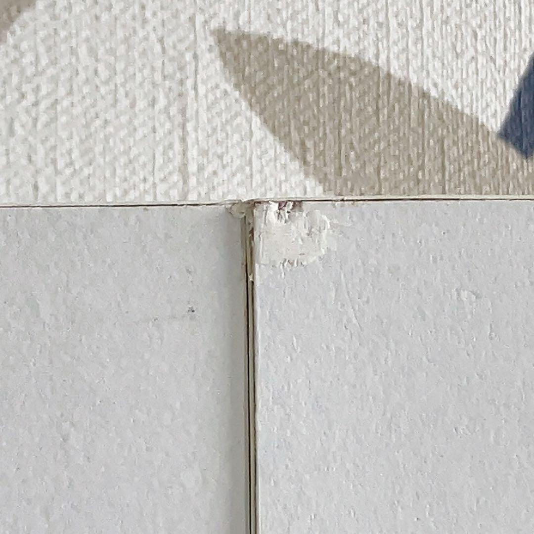 【引取限定】福岡市 ミラー付き収納 本棚 こっそりオタ活収納 ホワイトインテリア