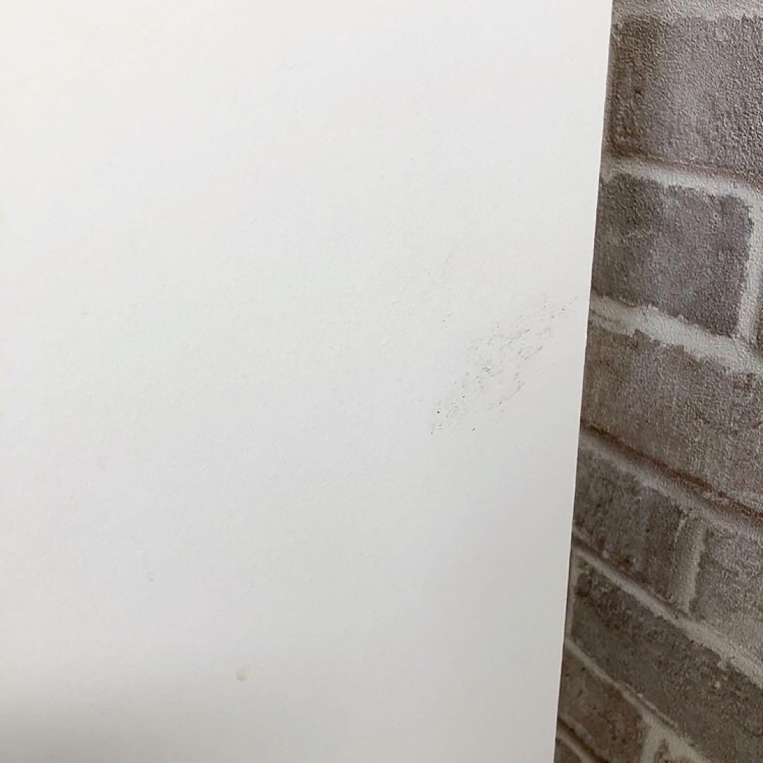 【引取限定】福岡市 ミラー付き収納 本棚 こっそりオタ活収納 ホワイトインテリア