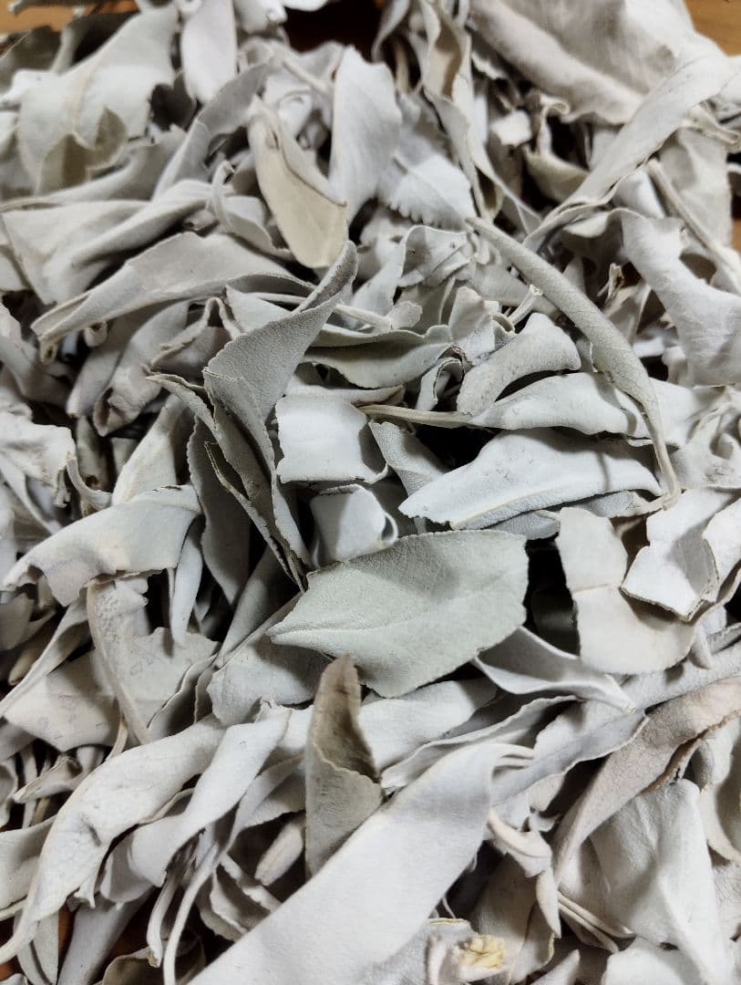 業務用価額☆無農薬アウトレットリーフホワイトセージ1KG箱入りお香浄化