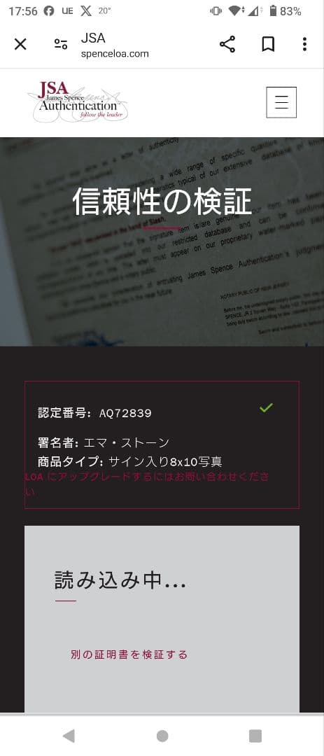エマ・ストーン サイン オートグラフ 8×10インチ スパイダーマン