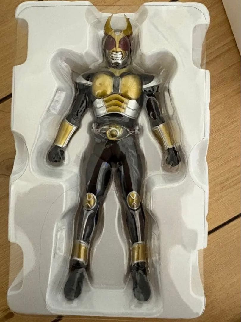 S.H.Figuarts 真骨彫　仮面ライダーアギト