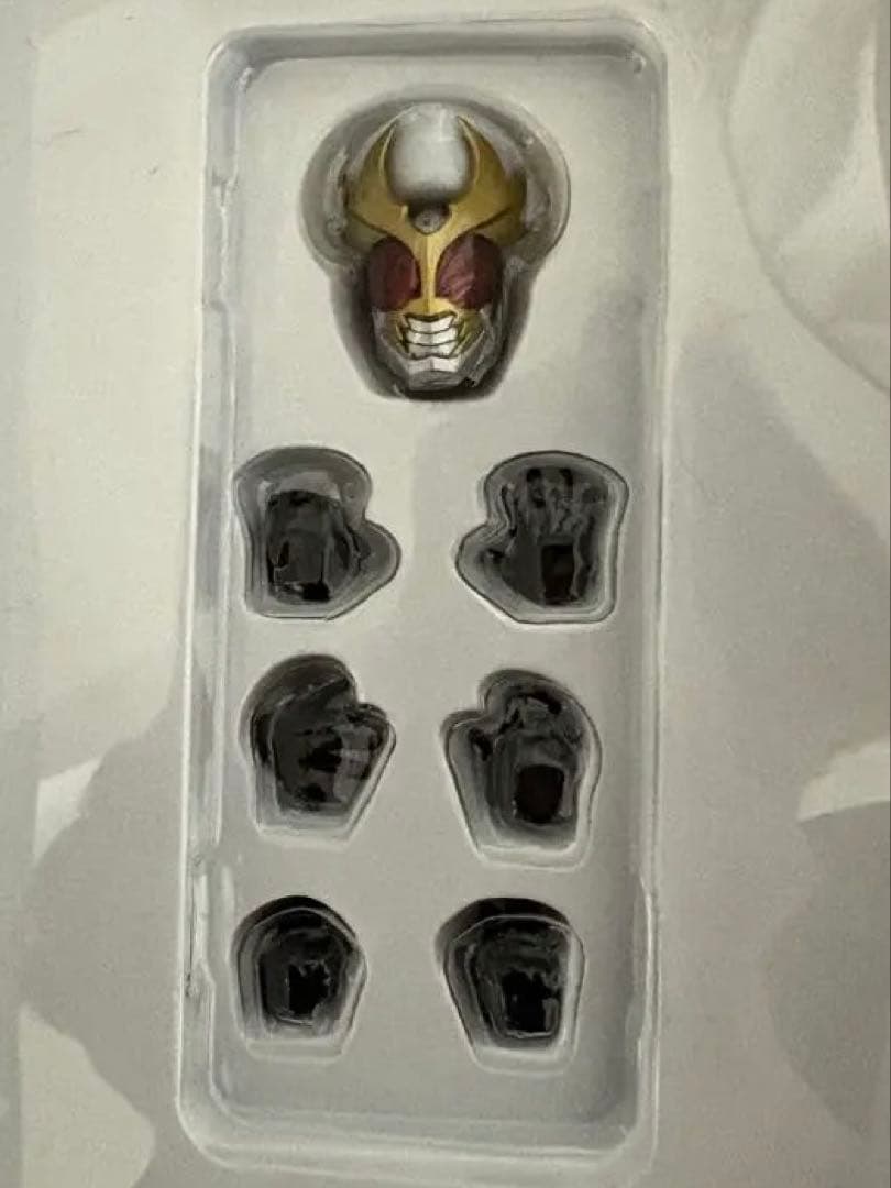 S.H.Figuarts 真骨彫　仮面ライダーアギト