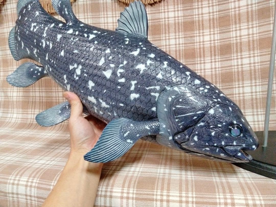 ハンドメイド　61cmシーラカンス　フィギュア　レプリカ　オブジェ　化石魚