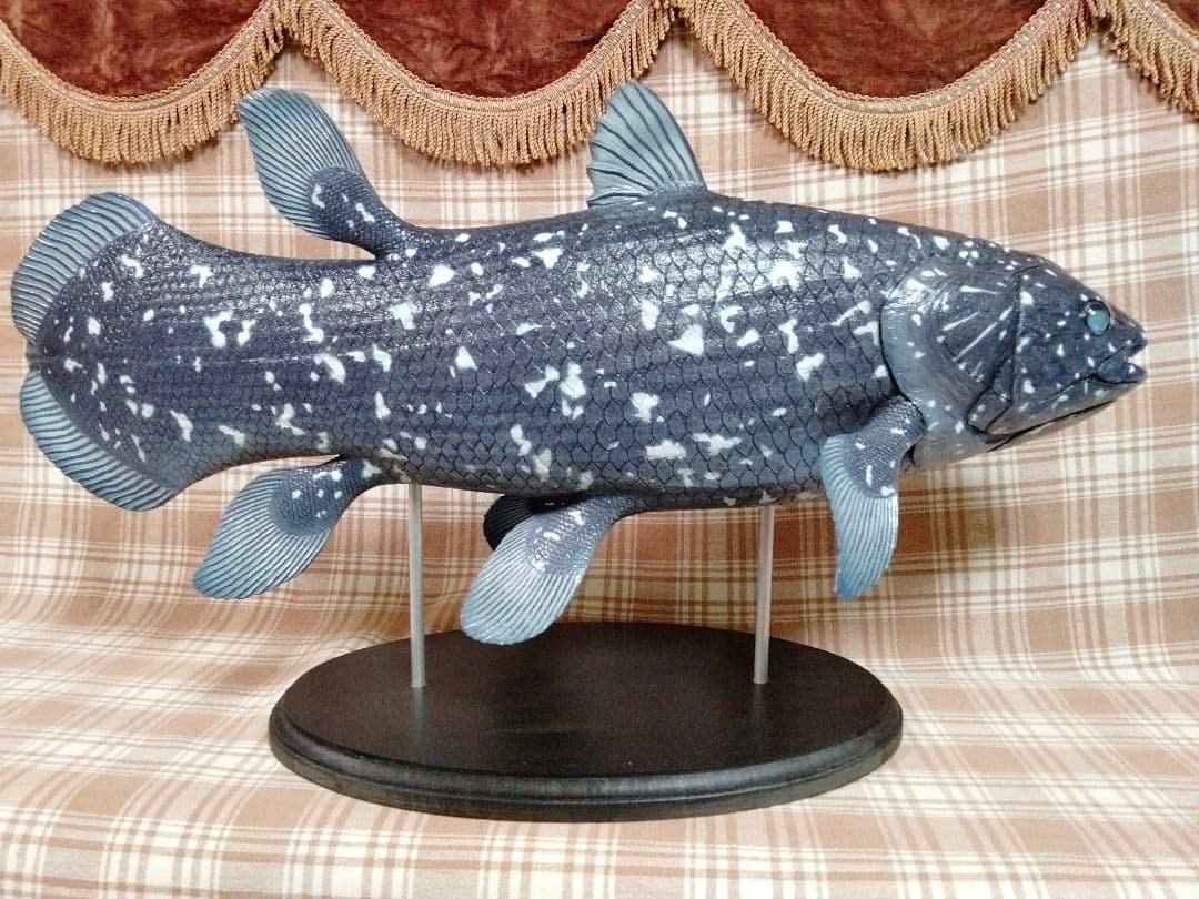 ハンドメイド　61cmシーラカンス　フィギュア　レプリカ　オブジェ　化石魚