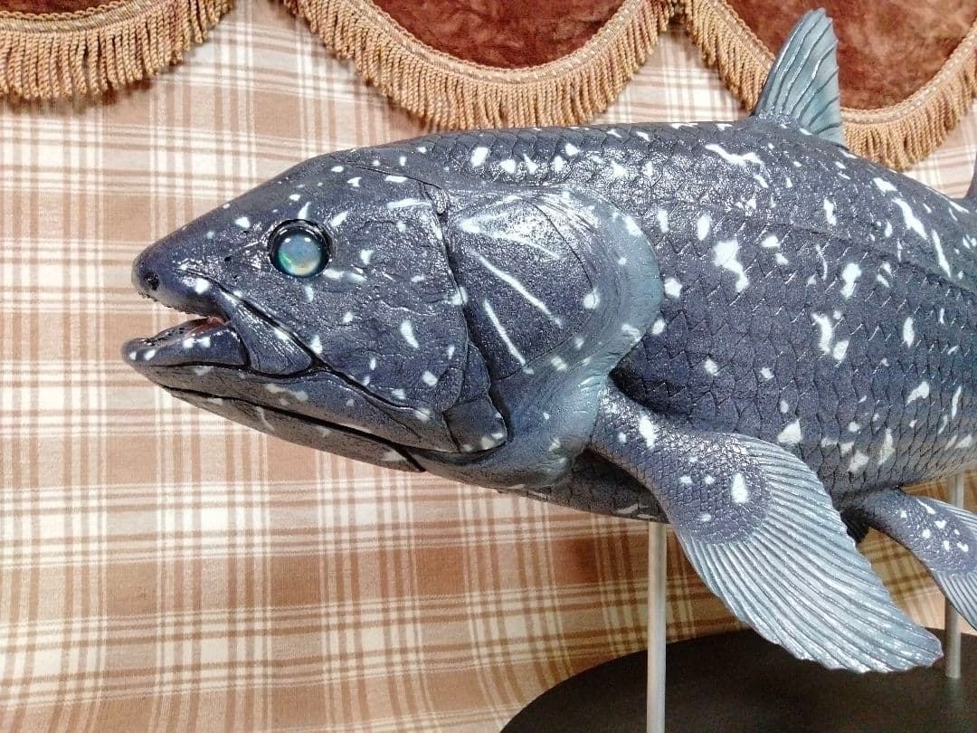ハンドメイド　61cmシーラカンス　フィギュア　レプリカ　オブジェ　化石魚