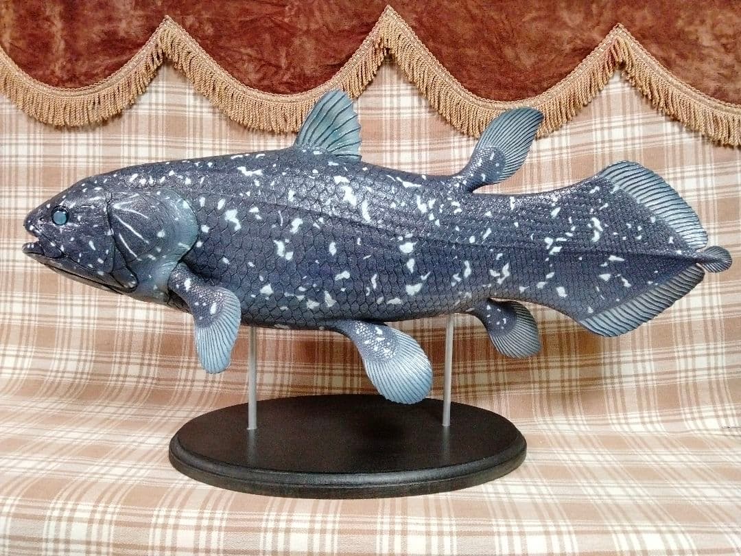 ハンドメイド　61cmシーラカンス　フィギュア　レプリカ　オブジェ　化石魚
