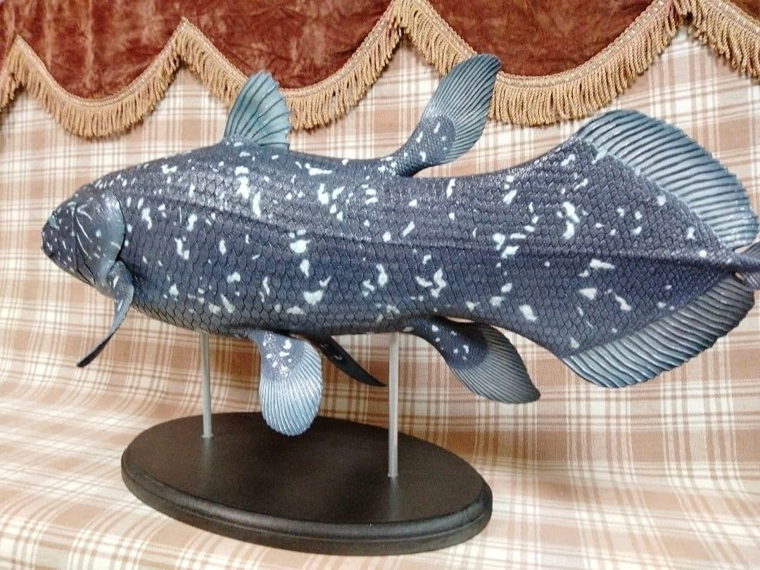 ハンドメイド　61cmシーラカンス　フィギュア　レプリカ　オブジェ　化石魚