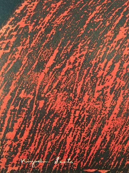 斎藤清、【瞳（白椿）】、希少な額装用画集より、新品額装付