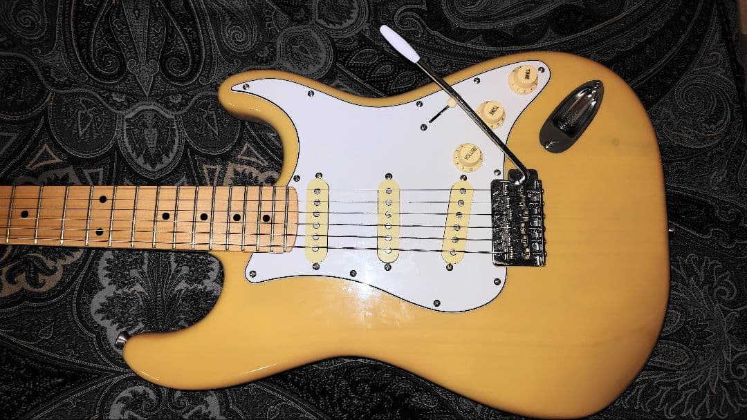 Ｂucchus ストラトタイプ　　　 (入手困難 生産中止モデル)