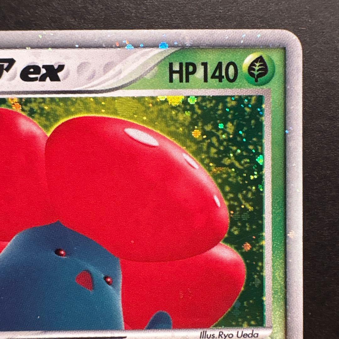 《とと》ラフレシアなど　計7枚