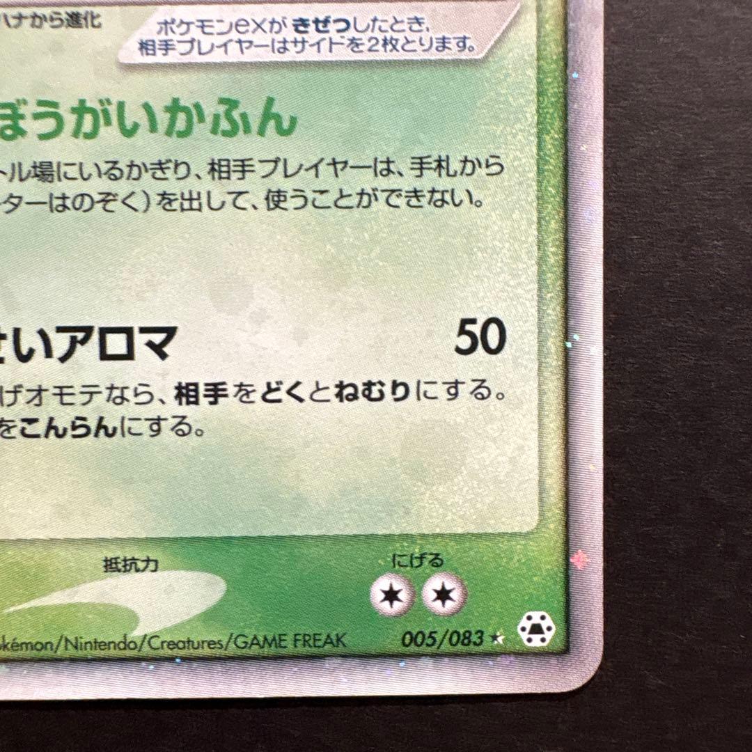 《とと》ラフレシアなど　計7枚