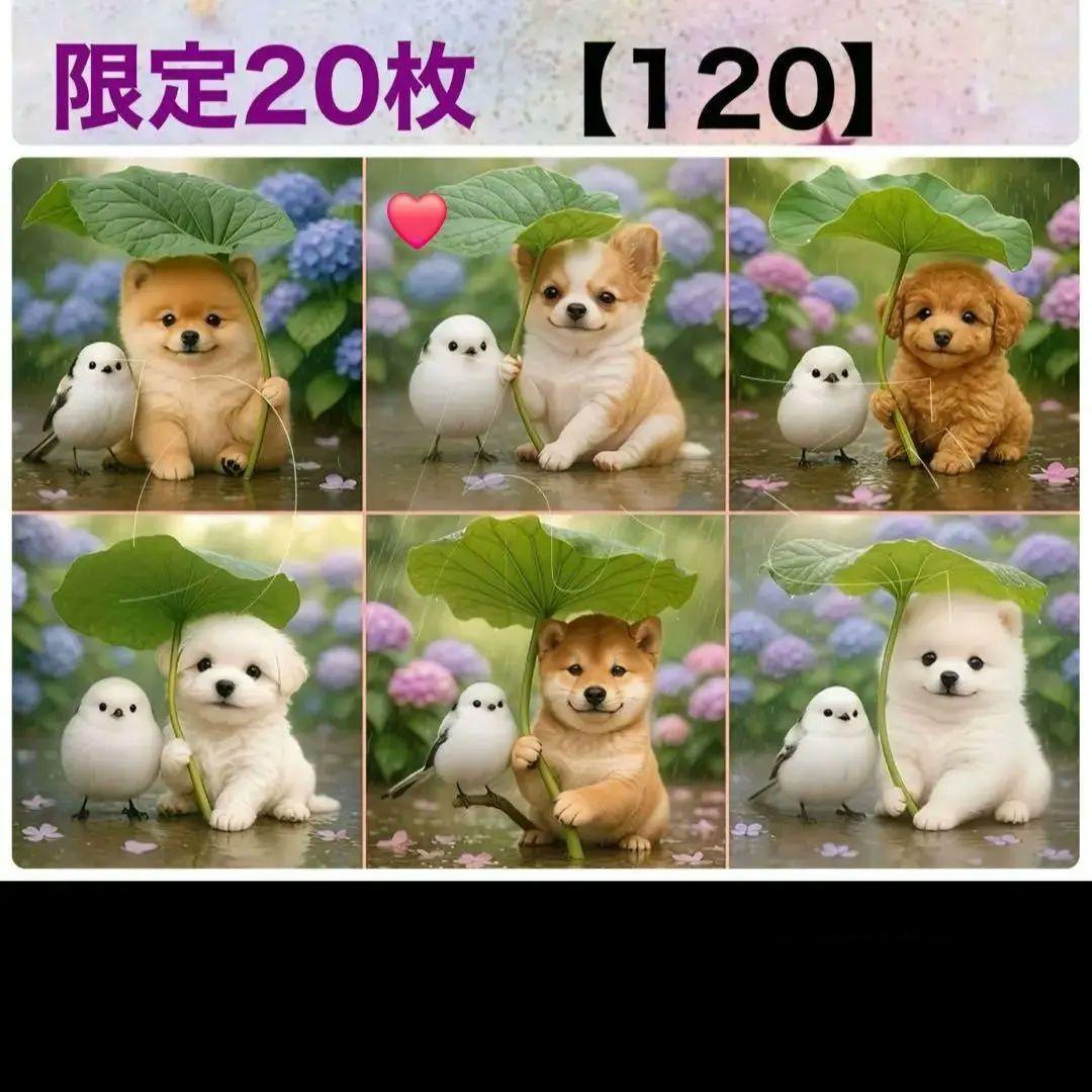 ななちゃん様確認用⑤