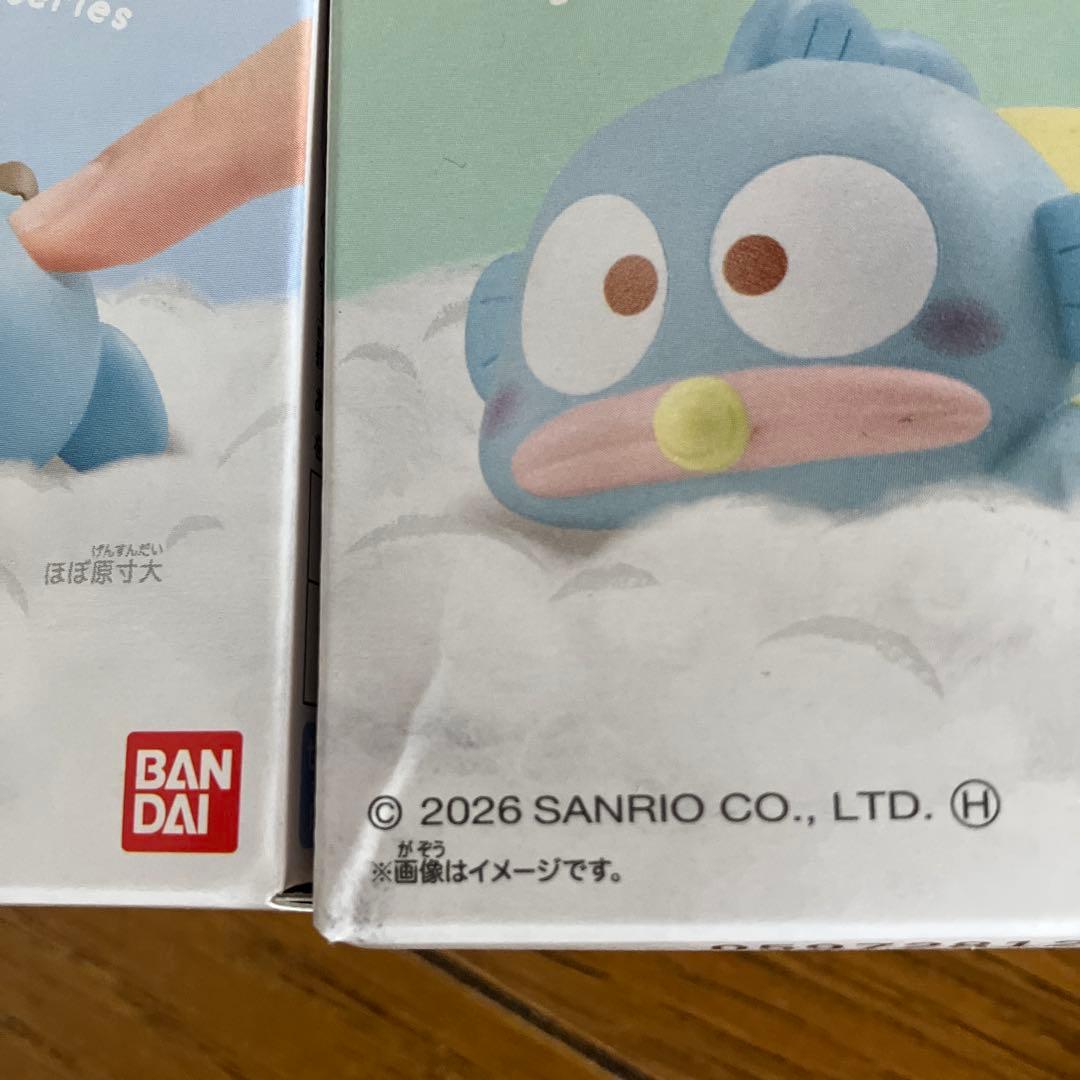 サンリオ もっちりコロリン 3種 バラ売り不可 - メルカリ