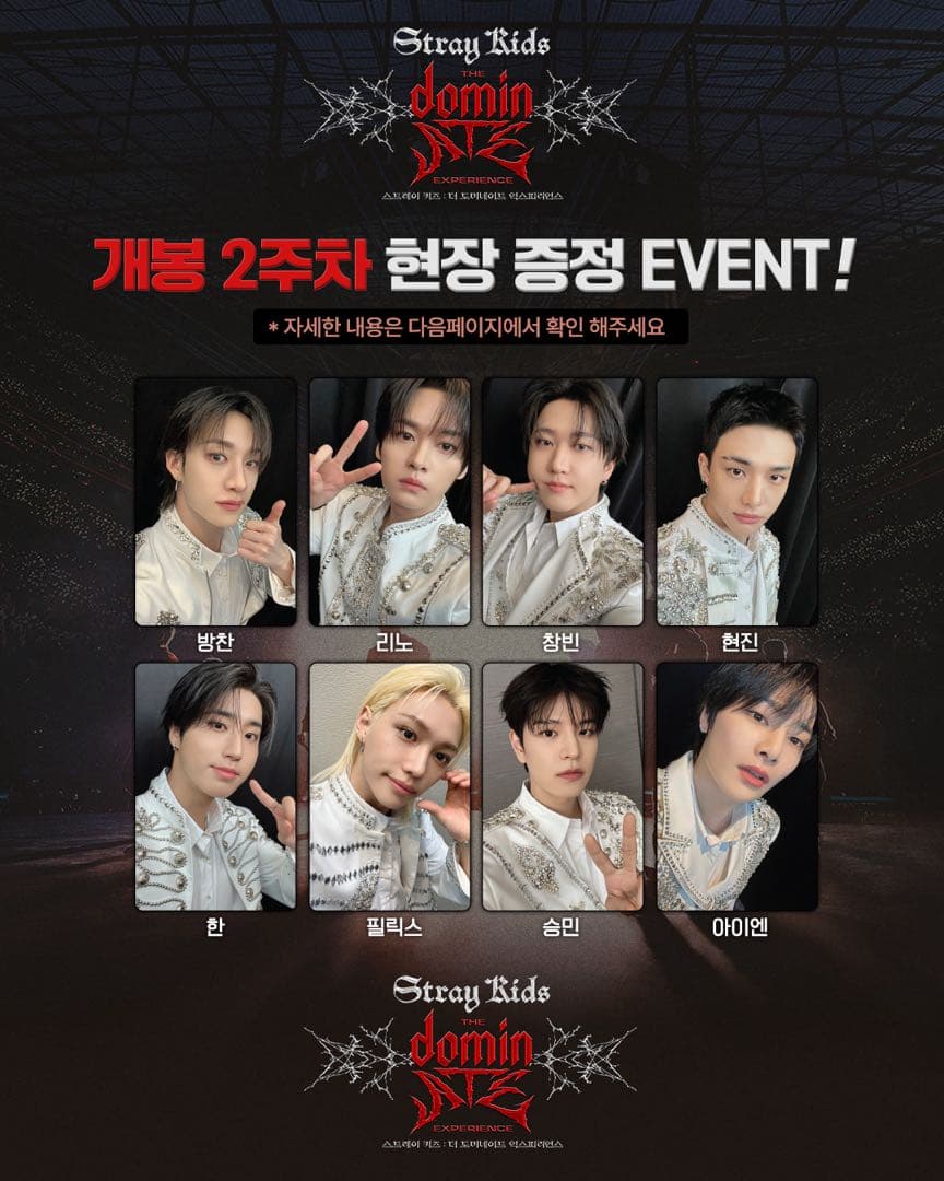 straykids スキズdominATE experie CGV トレカ