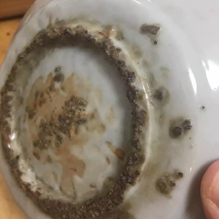 明時代 大皿 中国古美術 花鳥 青花