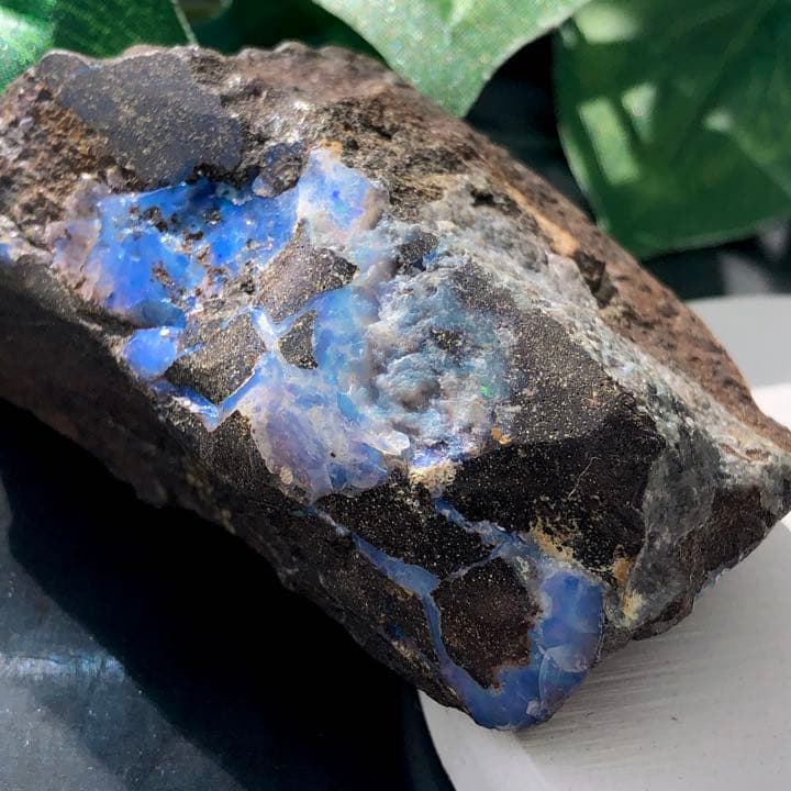 ボルダーオパール原石オーストラリア産y1184