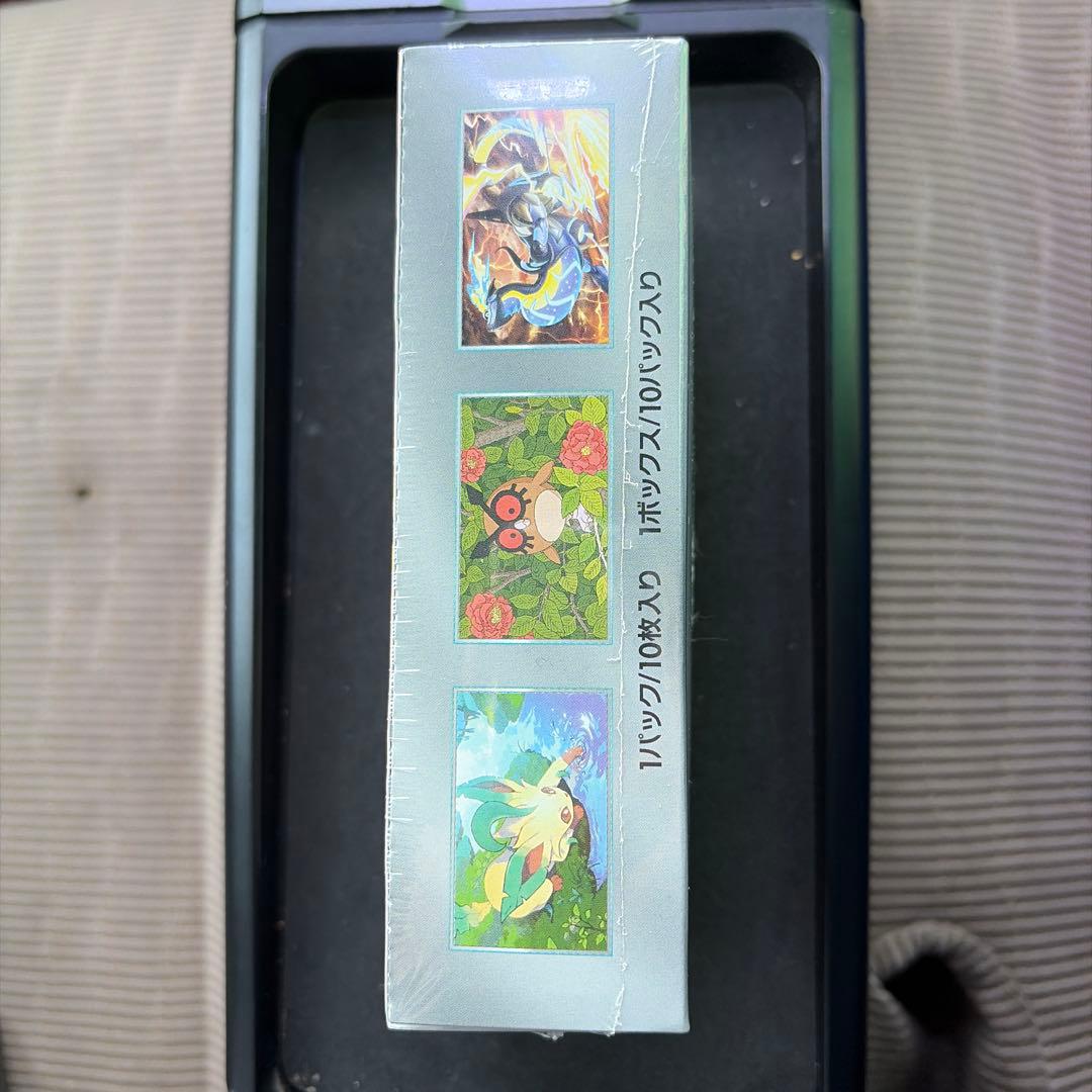 ポケモンカードゲーム テラスタルEX