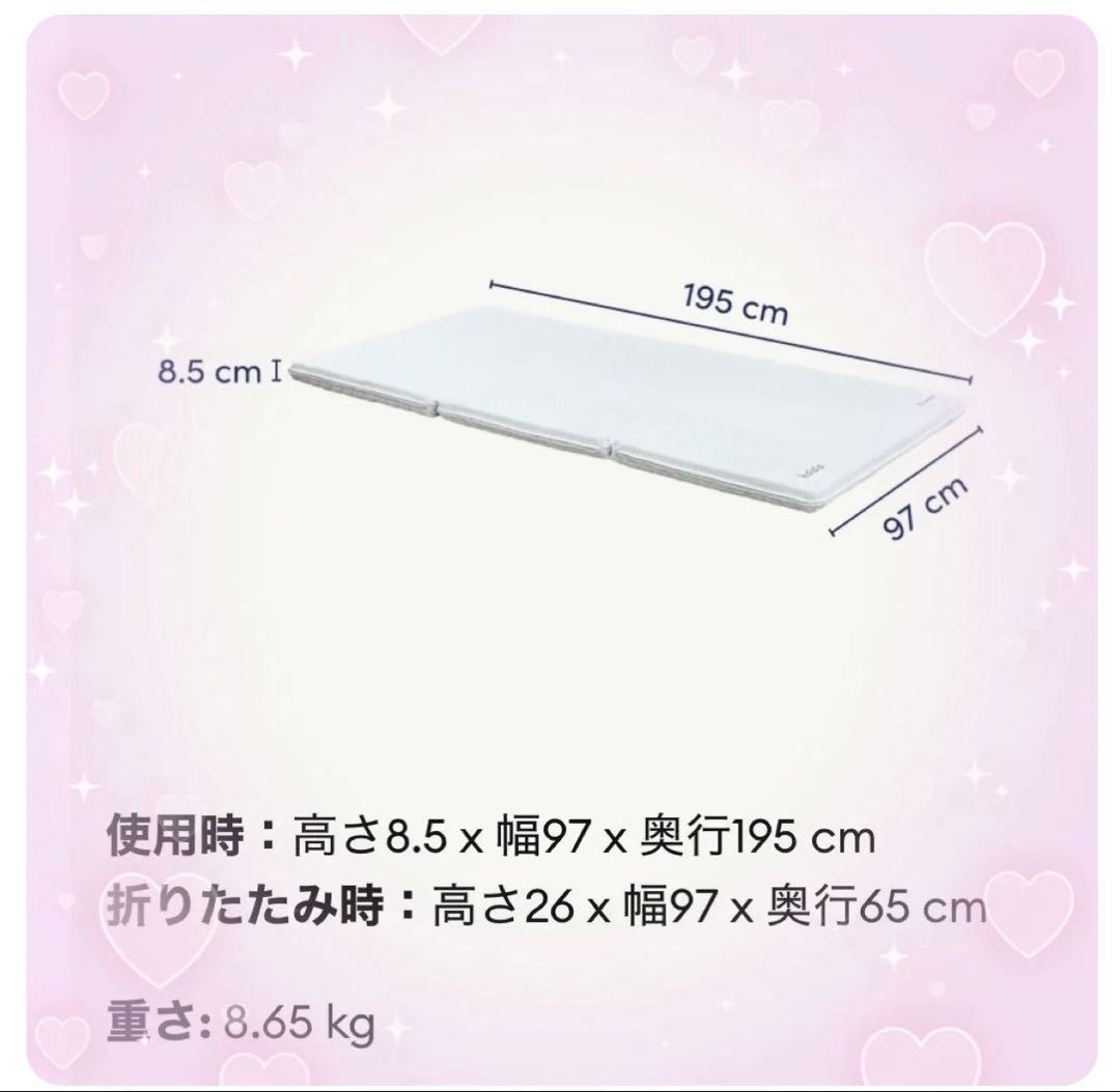 ✨快適快眠✨コアラフトン OASIS シングル 布団 三つ折り コアラ(R)