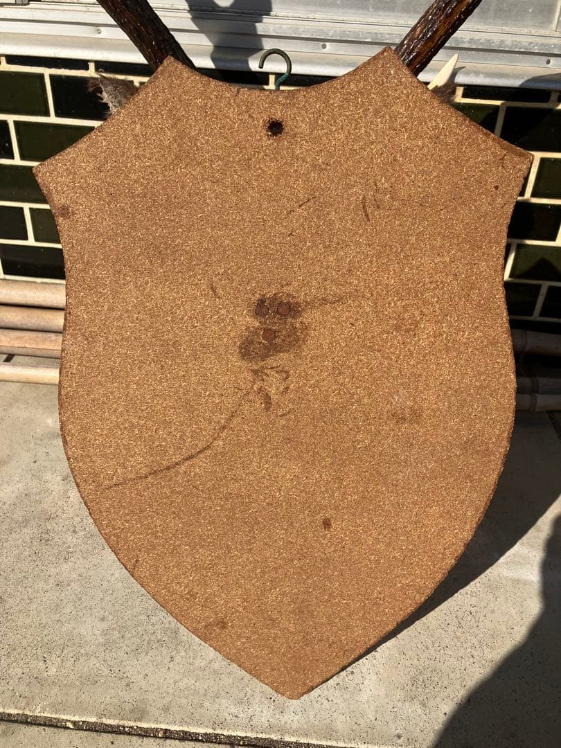 ハンティングトロフィー 鹿の剥製 壁飾り