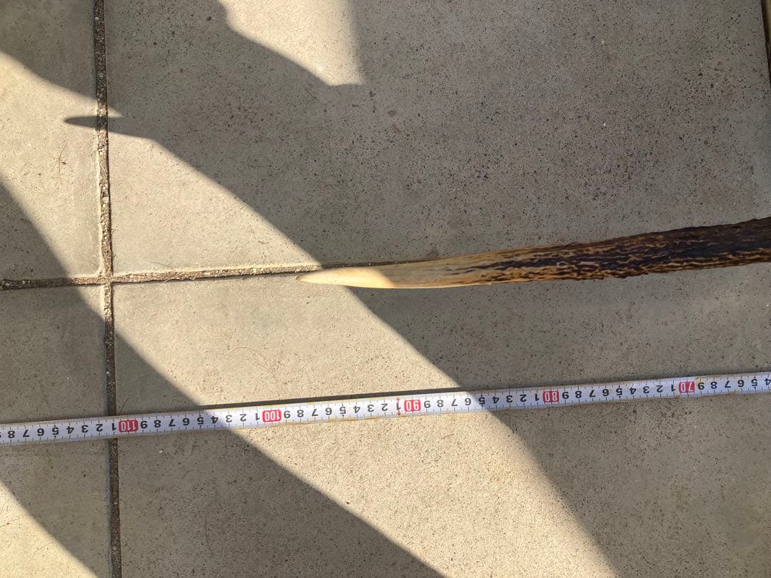 ハンティングトロフィー 鹿の剥製 壁飾り