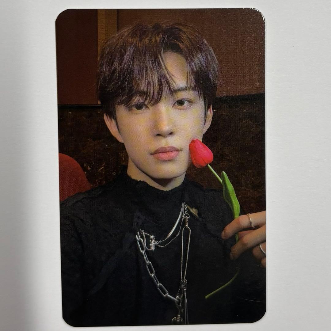 ALD1 ゴヌ サノク 最終回限定 トレカ - メルカリ