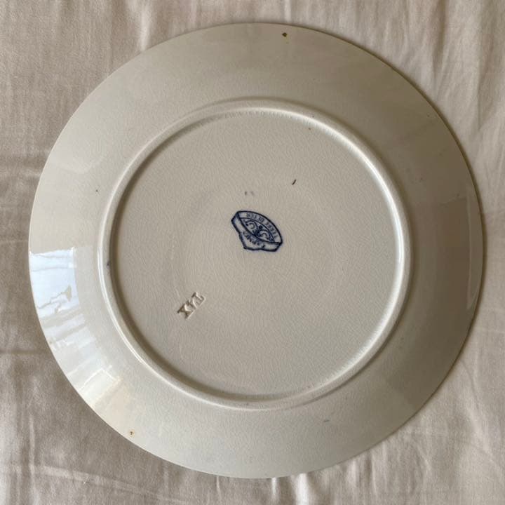 Sarreguemines サルグミンヌ カルメン 平皿 5枚セット