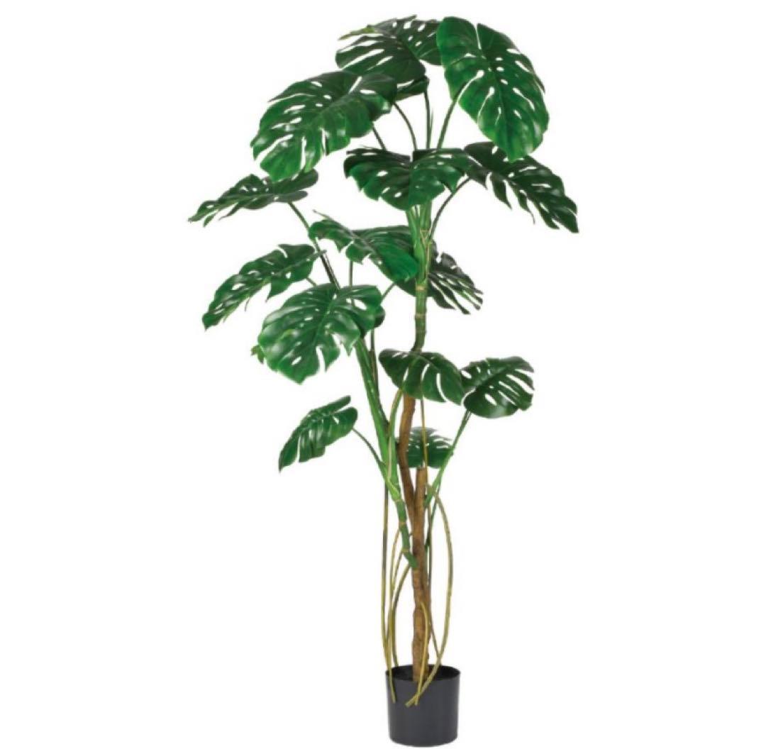 光触媒　人工観葉植物　ウォールグリーン　フェイクグリーン　モンステラポット180