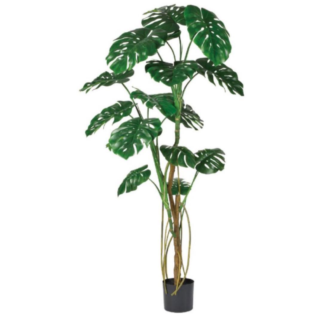 光触媒　人工観葉植物　ウォールグリーン　フェイクグリーン　モンステラポット180