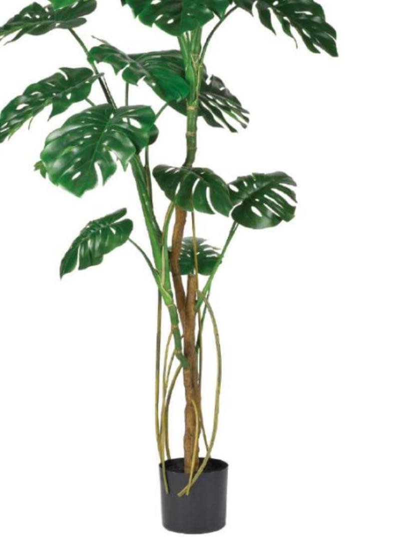 光触媒　人工観葉植物　ウォールグリーン　フェイクグリーン　モンステラポット180