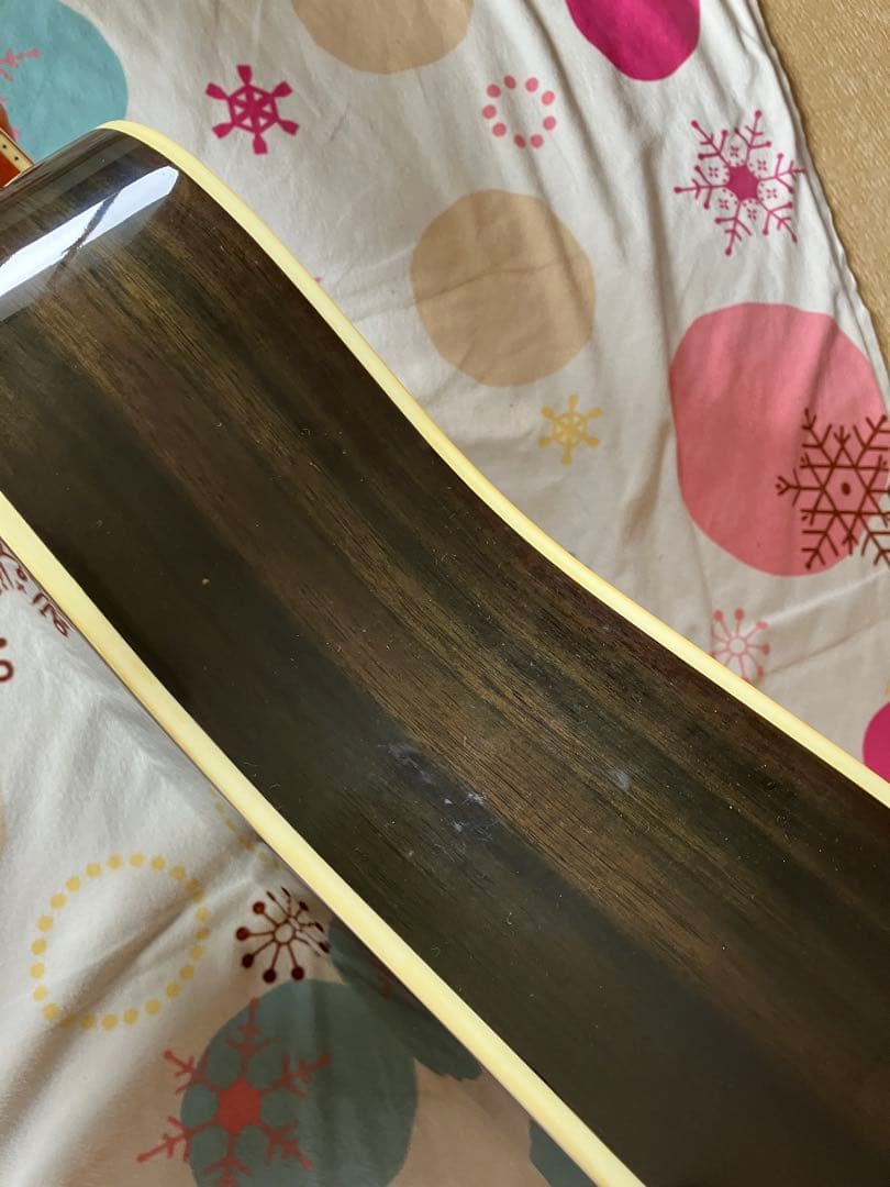 Greg Bennett グレッグ・ベネット　D-8