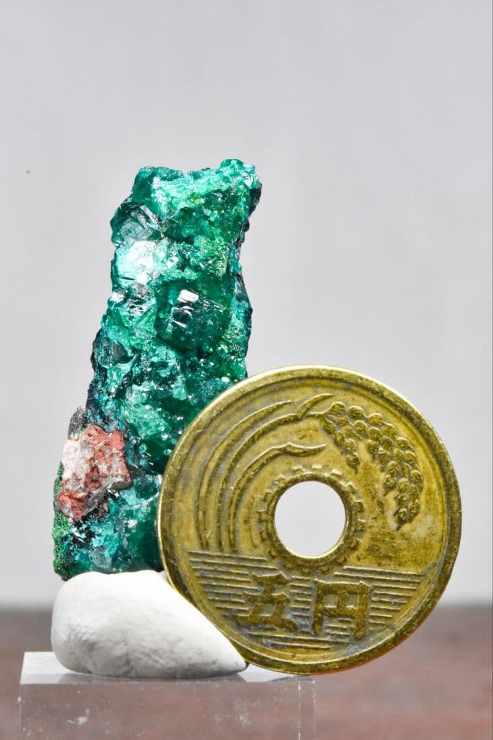 コンゴ産 ダイオプテーズ原石