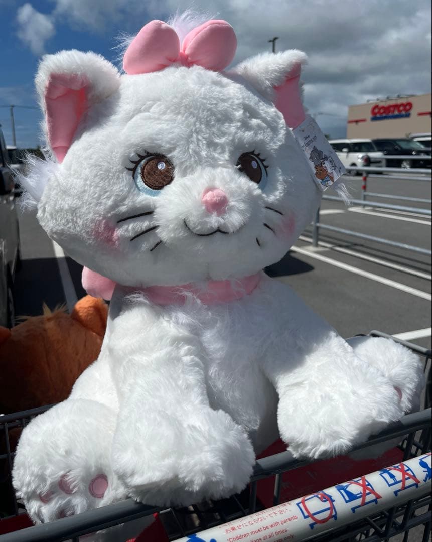 新品タグ付き マリーちゃん ぬいぐるみ ブランケット 付き コストコ