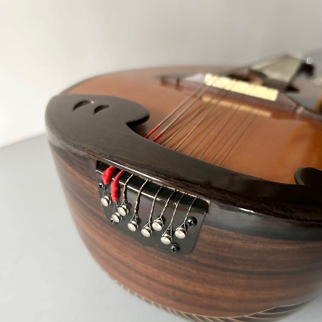 SUZUKI マンドリン M-218 ハードケース付き | Shop at Mercari from