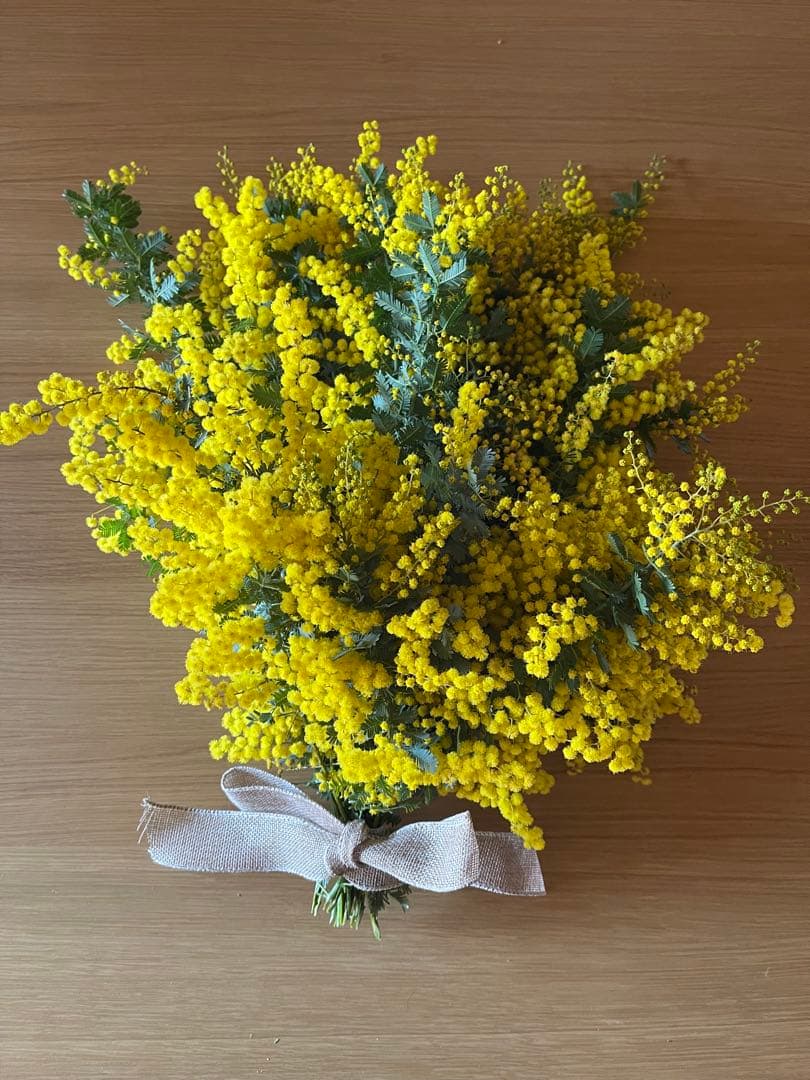 ☆ミモザ 100サイズ(91㎝)箱 保水あり フレッシュミモザ 午後12時〆切
