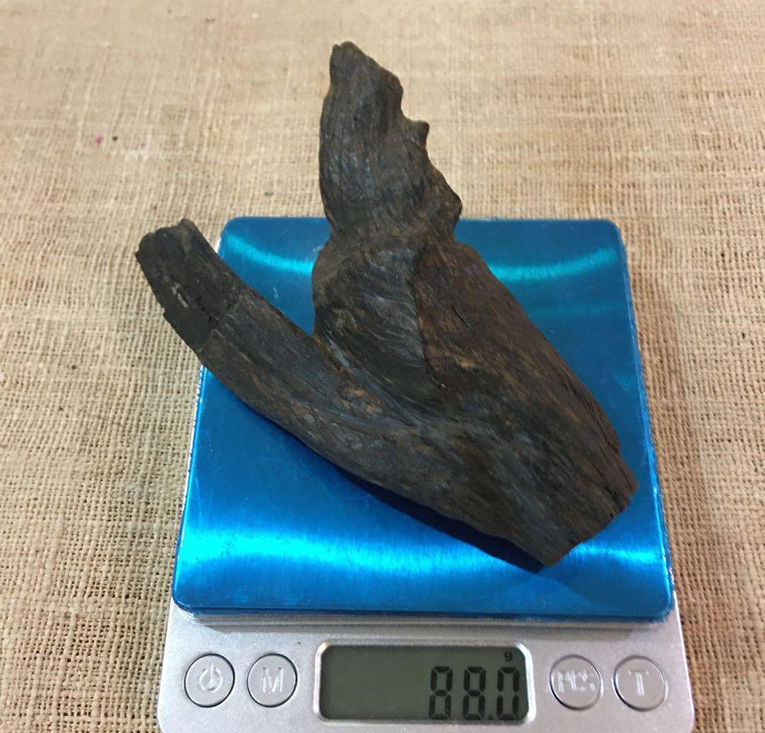 天然古渡香料原木 約470g 【インドネシア カリマンタン 寸聞多羅】