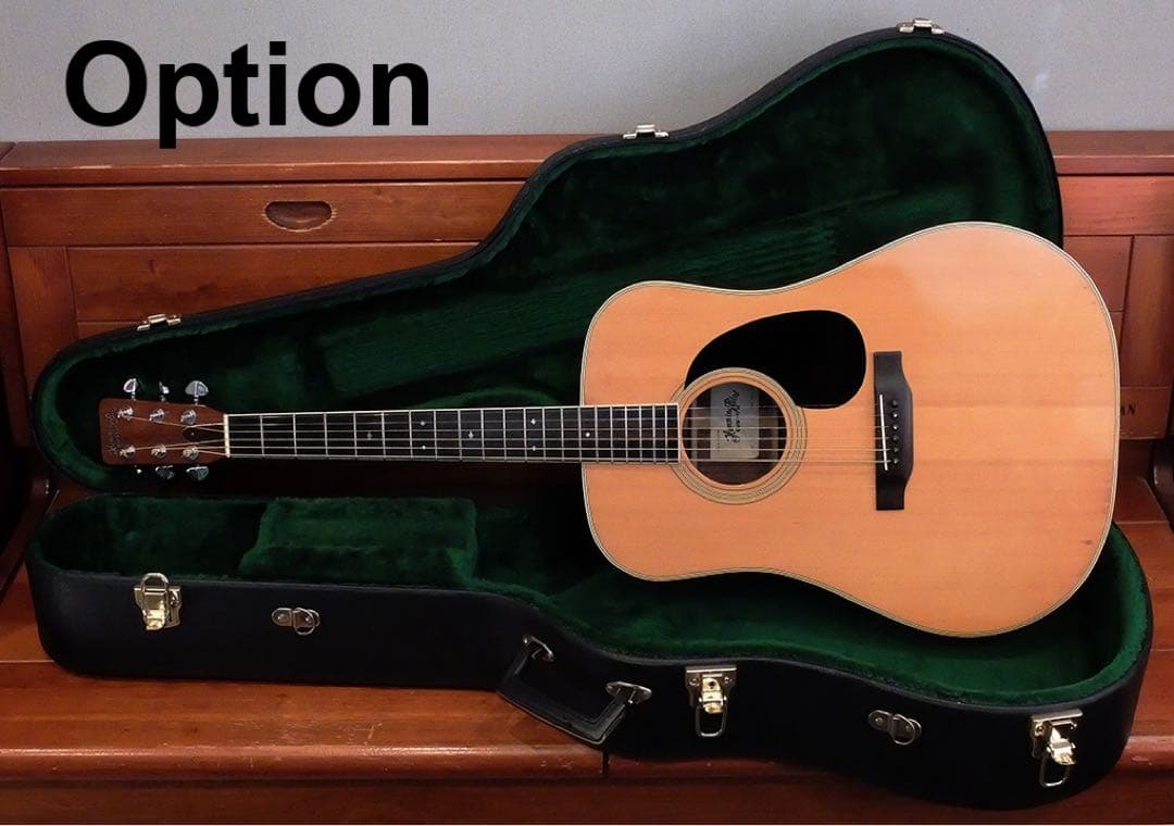 HummingBird W-600 初期超希少 ヴィンテージUSA GLOVER